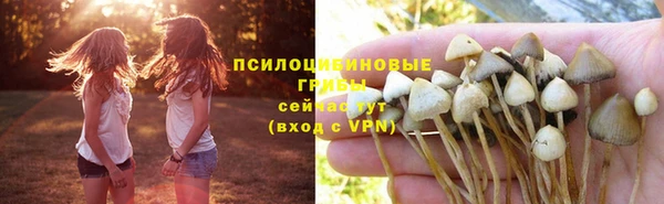 mdpv Аркадак