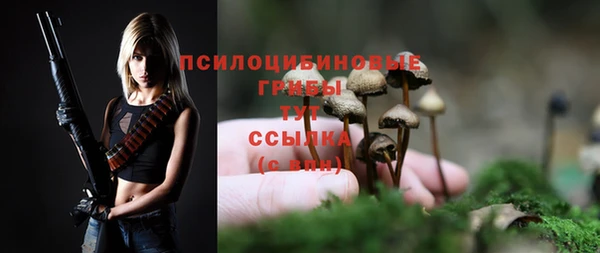тгк Армянск