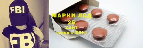 трава Новозыбков
