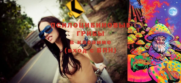 мдпв Новодвинск