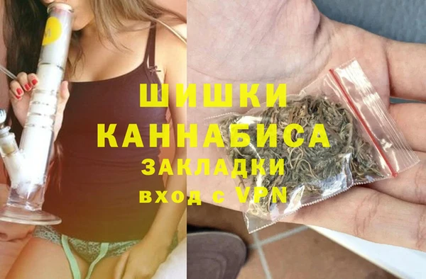винт Арсеньев