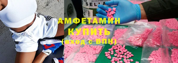 трава Новозыбков